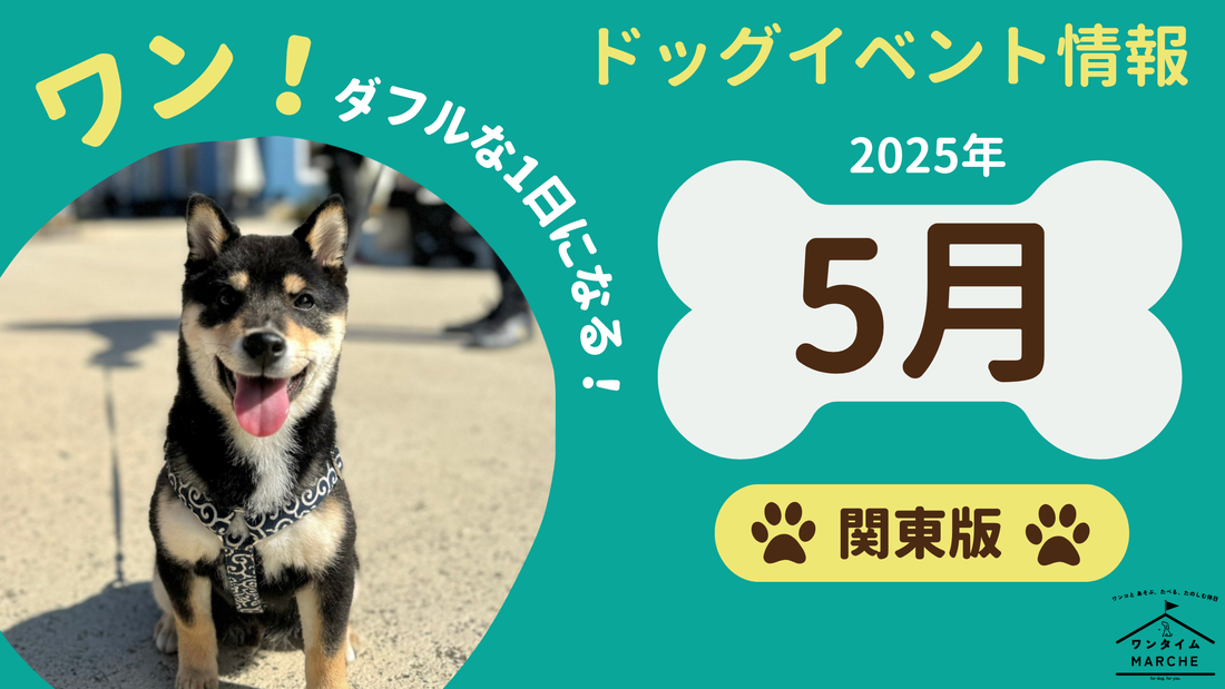 【2025年5月】愛犬と行きたい関東のドッグイベント情報