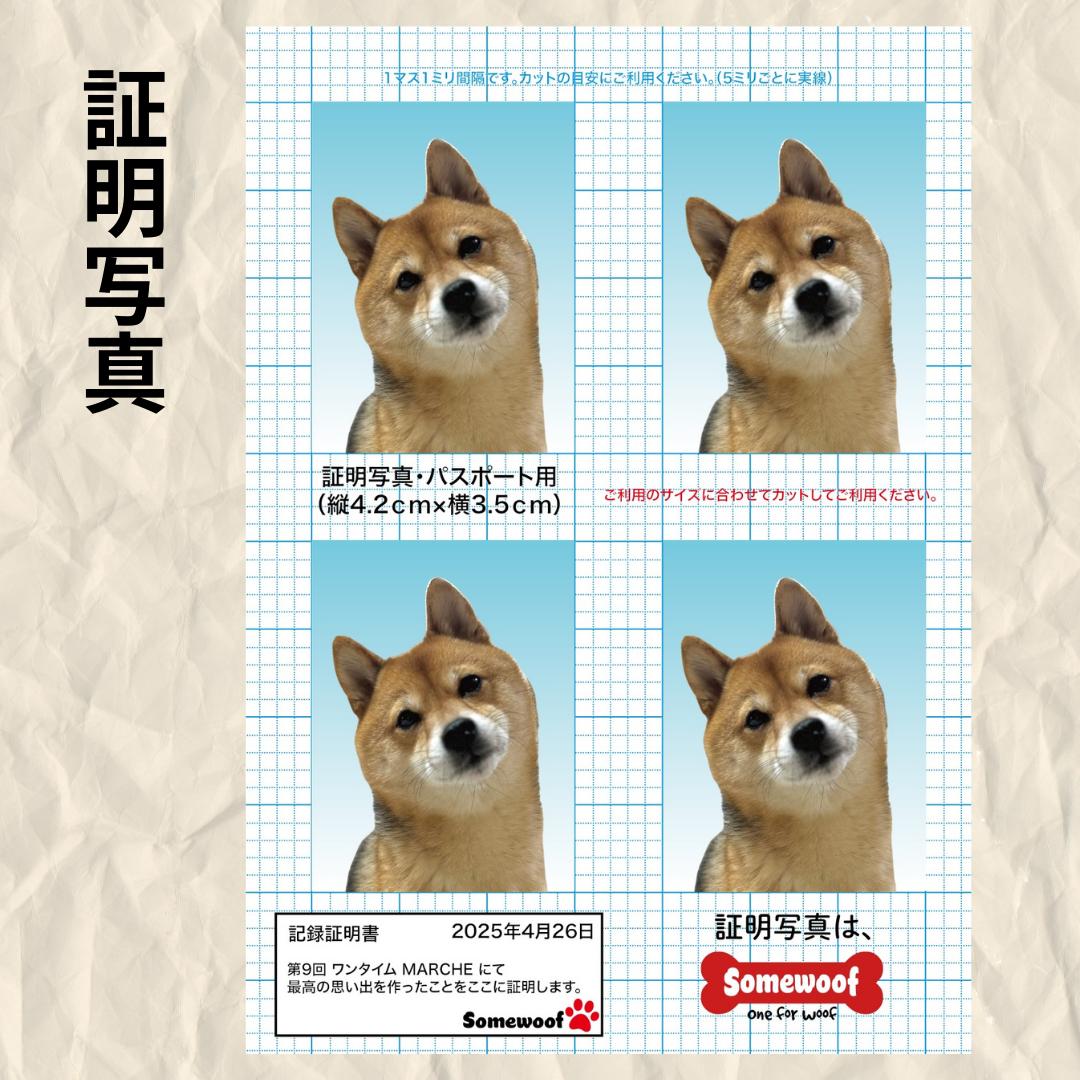 ワンタイムマルシェパスポート
