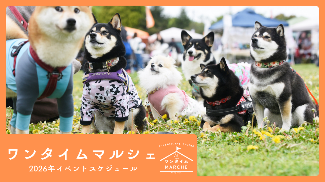 2026年 ワンタイムマルシェ イベントスケジュール