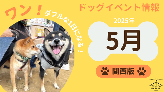 【2025年5月】愛犬と行きたい関西のドッグイベント情報